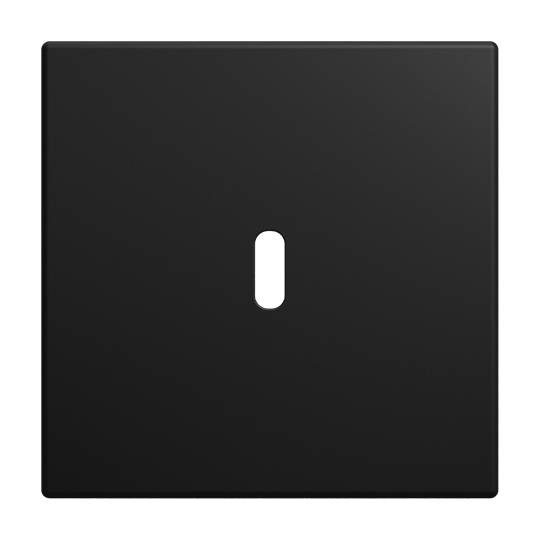Zentralscheibe USB-C-Power-Netzteil-Einsatz 65WBusch-balance® SI