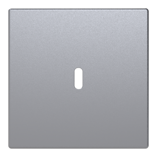 Zentralscheibe USB-C-Power-Netzteil-Einsatz 65W