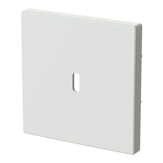 Zentralscheibe USB-C-Power-Netzteil-Einsatz 65W