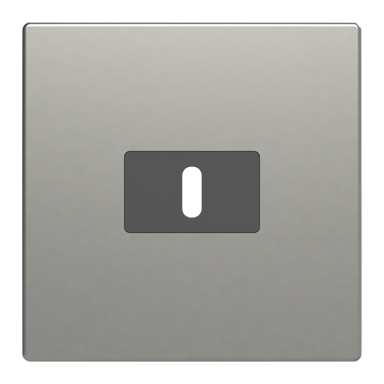 Zentralscheibe USB-C-Power-Netzteil-Einsatz 65Wpur edelstahl
