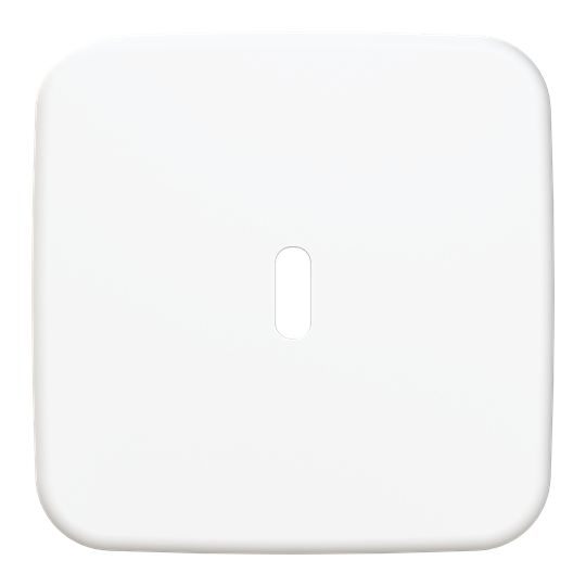 Zentralscheibe USB-C-Power-Netzteil-Einsatz 65W