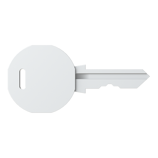 Clé de rechange V2432E compatible avec l'article 4TBP832030C0100