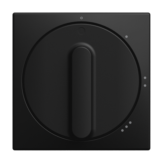 Zentralscheibe mit Aufdruck Symbol "0-1-2-3" für Stufenschalter, Drehknopf