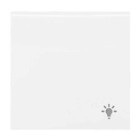 Wippe mit Aufdruck Mit Symbol "Licht"Busch-balance® SI