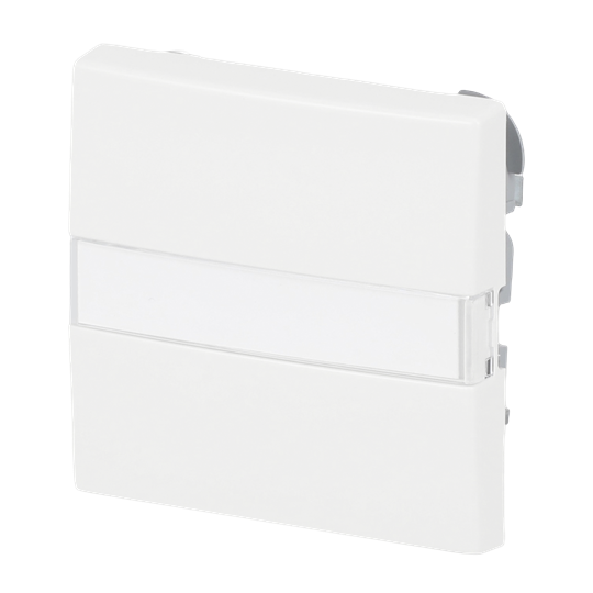 Wippe mit BeschriftungsfeldBusch-balance® SI