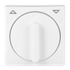 alpine white