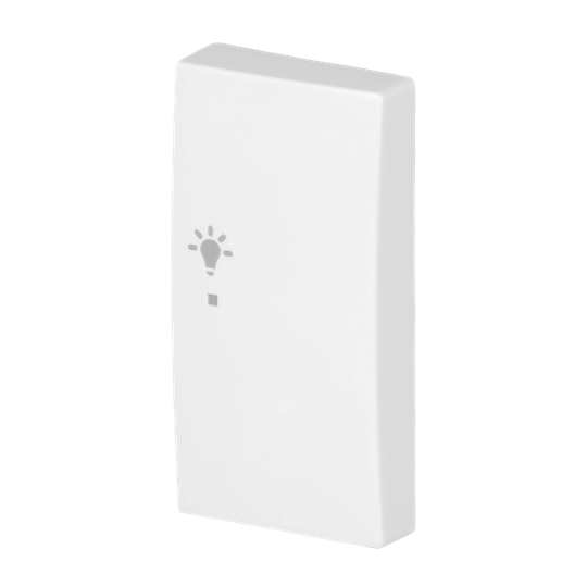 Wippe 2-fach rechts, mit Symbol "Licht" Busch-balance® SI