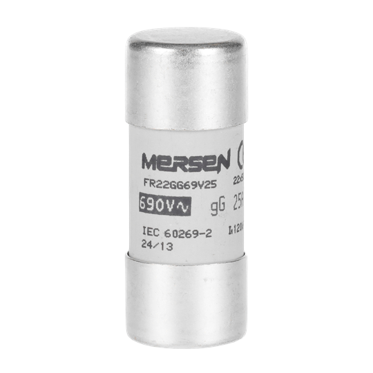 Sicherung 22x58mm für E90/125