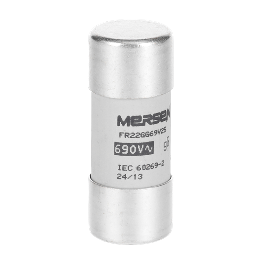 Sicherung 22x58mm für E90/125