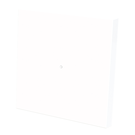 Tecla interruptor c/visor BT