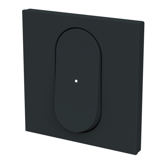 Tecla interruptor c/visor NT