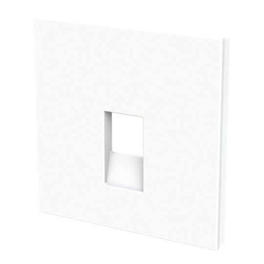 Tapa toma de teléfono / informática BT