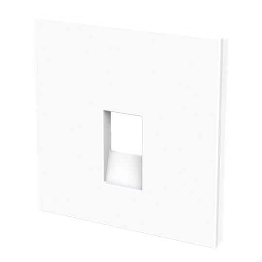 Tapa toma de teléfono / informática BL