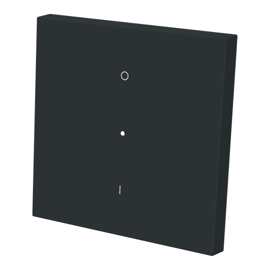 Tecla interruptor bip. c/visor NT