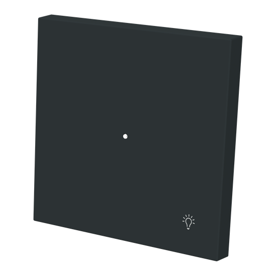 Tecla pulsador luz c/visor NT