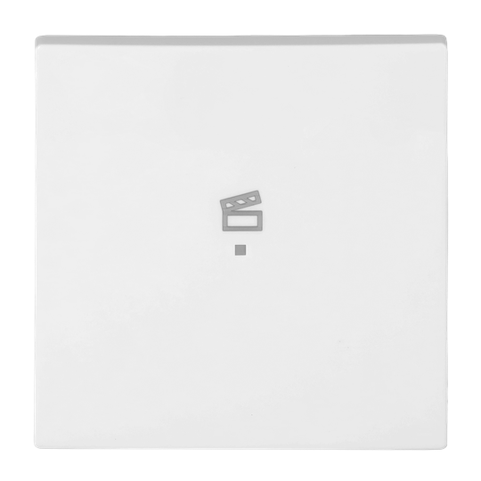 Wippe 1-fach, mit Symbol "Szene" Busch-balance® SI