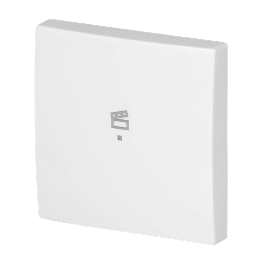 Wippe 1-fach, mit Symbol "Szene" Busch-balance® SI