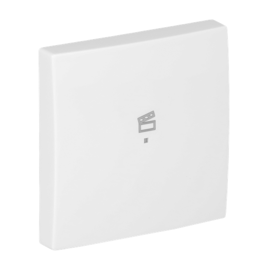 Wippe 1-fach, mit Symbol "Szene" Busch-balance® SI