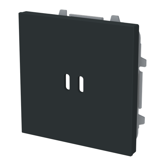 Tapa cargador USB NT