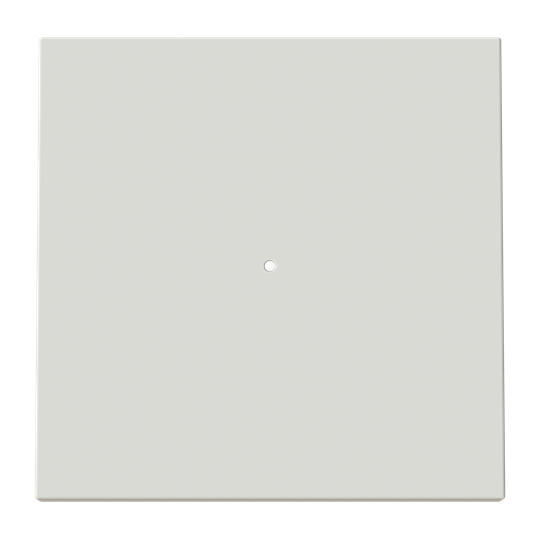 Tecla interruptor c/visor DN
