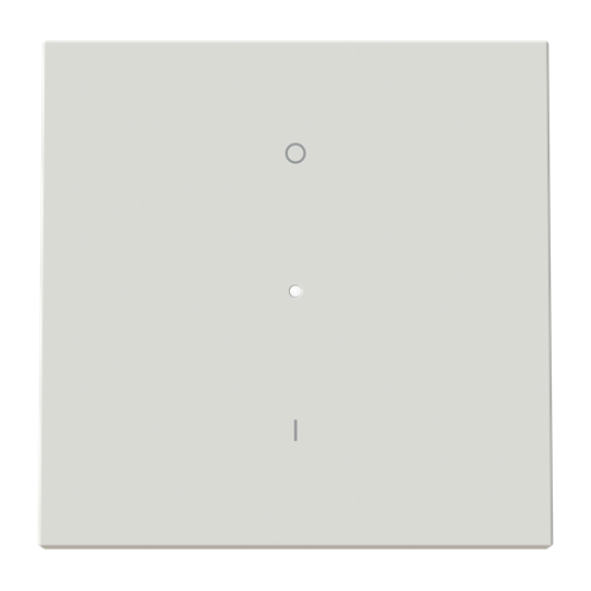 Tecla interruptor bip. c/visor DN