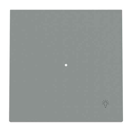 Tecla pulsador luz c/visor GN