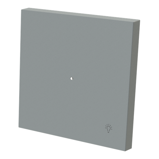 Tecla pulsador luz c/visor GN
