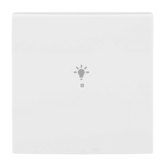 Wippe 1-fach, mit Symbol "Licht" Busch-balance® SI