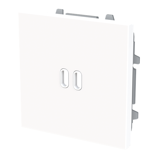 Tapa cargador USB BT