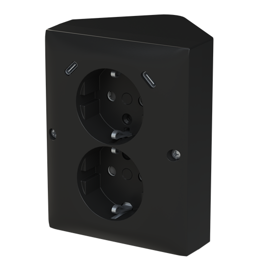 Prise double SCHUKO® USB Safety+ avec 2x USB C, montage en saillie/angle