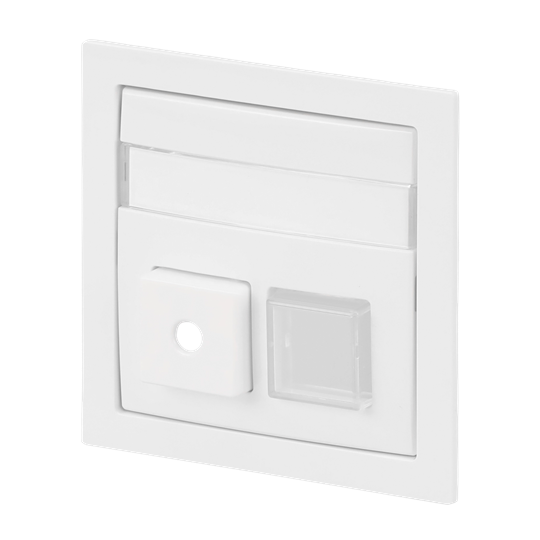 Zentralscheibe 2-fach Infoline Busch-art linear®