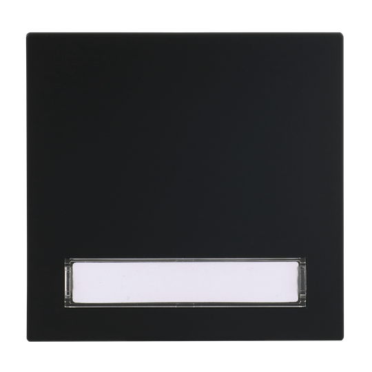 Wippe mit Beschriftungsfeld für Schalter/Taster, 1-fach schwarz matt -