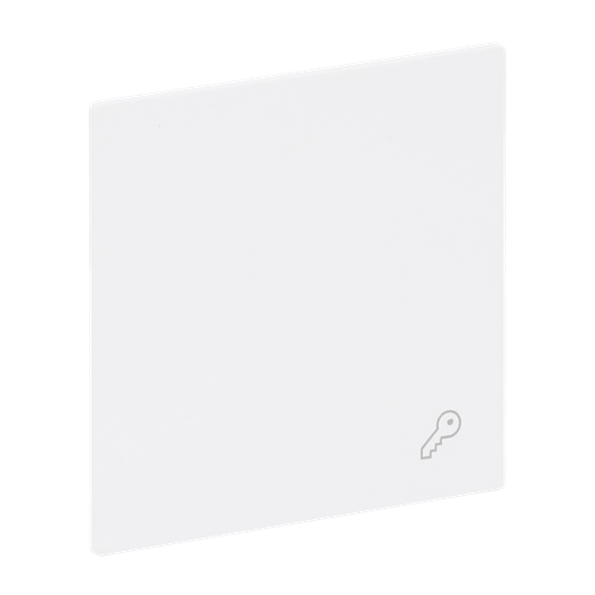 Wippe mit Aufdruck Symbol "Schlüssel" für Schalter/Taster, 1-fach studioweiß