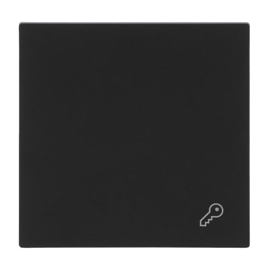 Wippe mit Aufdruck Symbol "Schlüssel" für Schalter/Taster, 1-fach schwarz matt