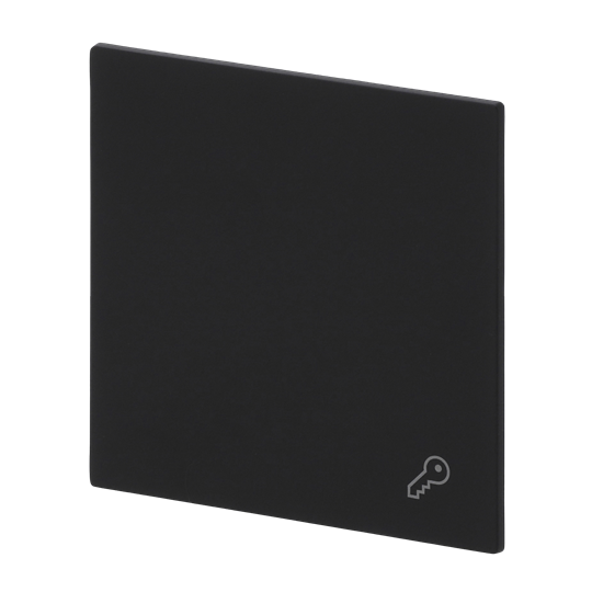 Wippe mit Aufdruck Symbol "Schlüssel" für Schalter/Taster, 1-fach schwarz matt
