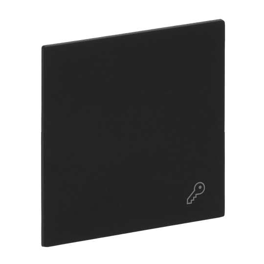 Wippe mit Aufdruck Symbol "Schlüssel" für Schalter/Taster, 1-fach schwarz matt