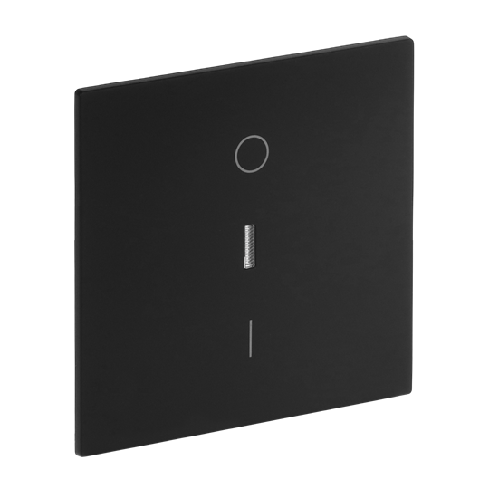 Wippe mit Aufdruck Symbol "0 und 1" mit kleiner transparenter Kalotte für