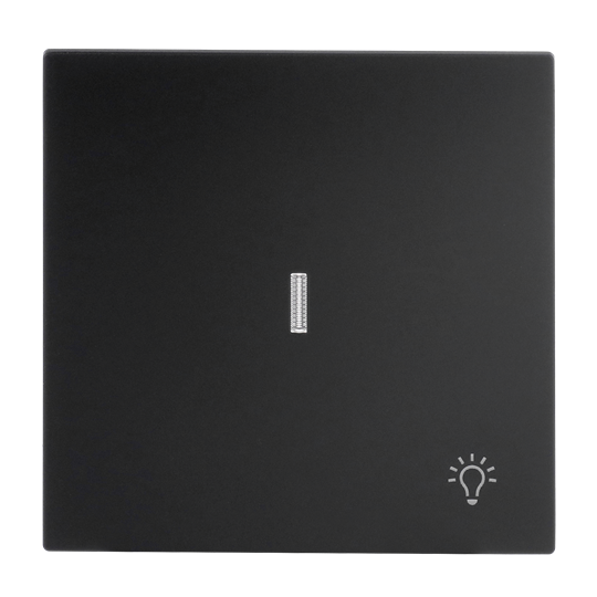 Wippe mit Aufdruck Symbol "Licht" mit kleiner transparenter Kalotte für