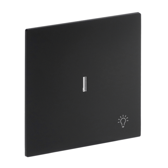 Wippe mit Aufdruck Symbol "Licht" mit kleiner transparenter Kalotte für