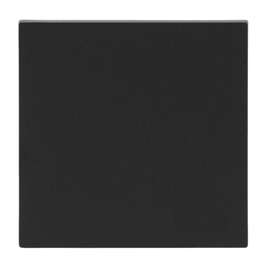 Wippe für Smart Switch 1-fach schwarz matt - Busch-art linear®