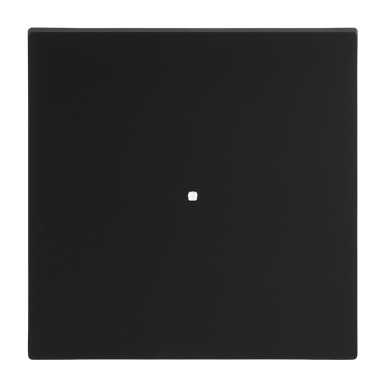 Wippe mit kleiner transparenter Kalotte 1-fach schwarz matt - Busch-art linear®
