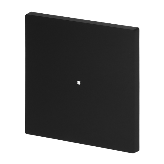 Wippe mit kleiner transparenter Kalotte 1-fach schwarz matt - Busch-art linear®