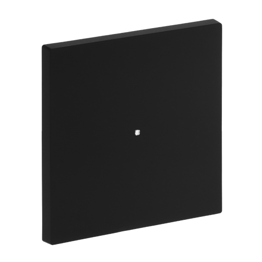 Wippe mit kleiner transparenter Kalotte 1-fach schwarz matt - Busch-art linear®