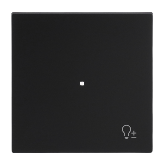 Wippe 1-fach, mit Symbol "Dimmer" schwarz matt Busch-art linear®