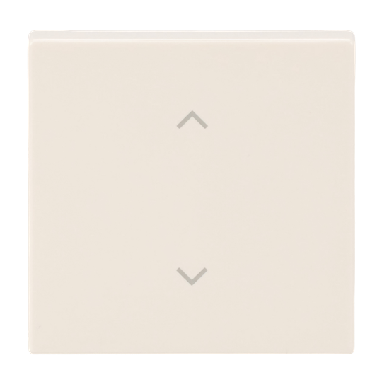 Wippe 1-fach, mit Symbol "Jalousie"Plattform 63