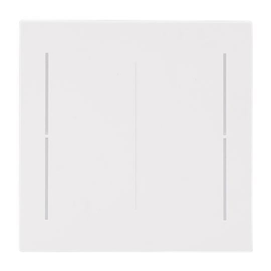 Abdeckung, 2-fach, Busch-art linear®