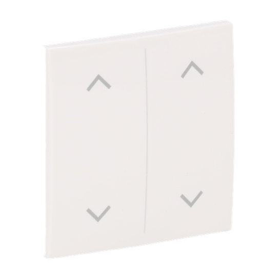 Abdeckung als Wippe 2-fach, mit Symbol "Auf/Ab", Busch-balance® SI