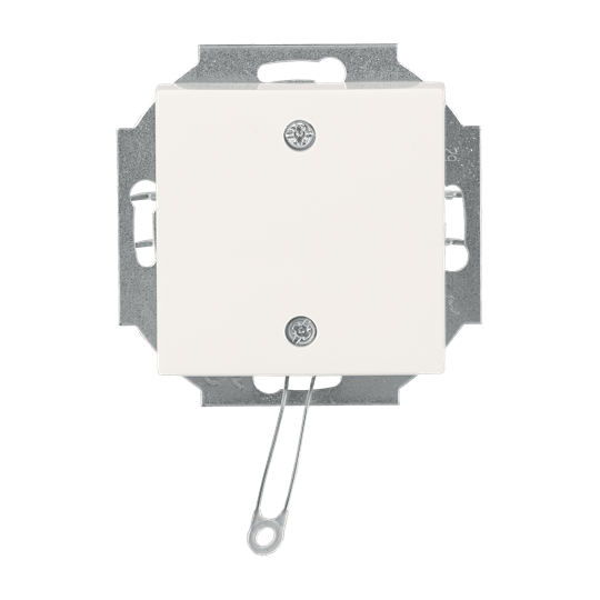 Interrupteur à cordon avec protection, commutation de coupure et de changement, Busch-balance® SI