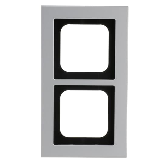 Abdeckrahmen 2-fach titan - Busch-axcent® pur