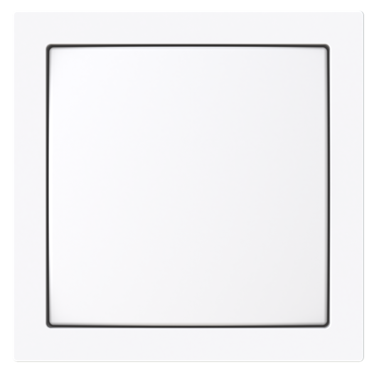 Zentralscheibe mit Beschriftungsfeld Busch-art linear®